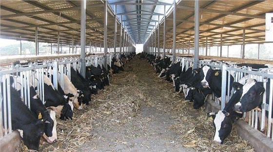 艾思捷定制款PGV035系列減速機--應用在畜牧業、飼料行業 (2).jpg